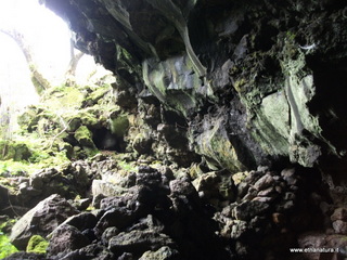 conco di Liricio-24-03-2013 10-30-24